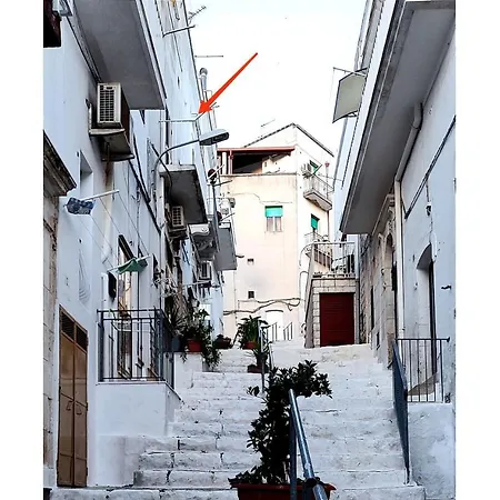 Otto بيت للعطل