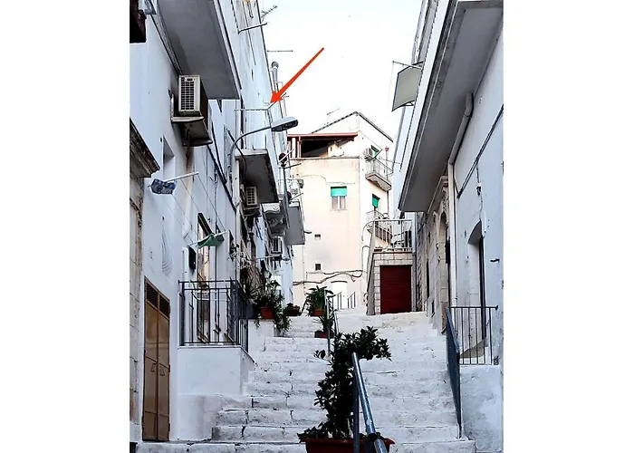 Otto Сasa de vacaciones