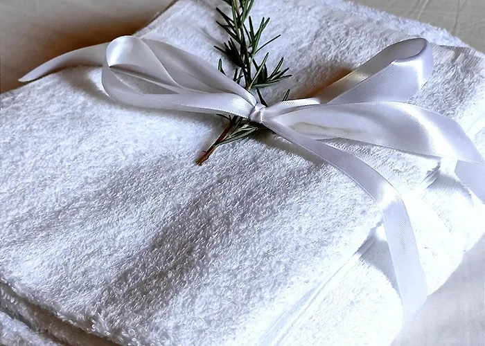 Otto Сasa de vacaciones